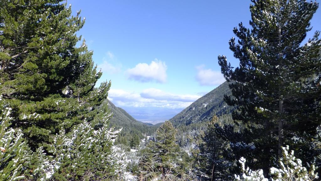Bansko Prespa Ski Penthouse Δωμάτιο φωτογραφία